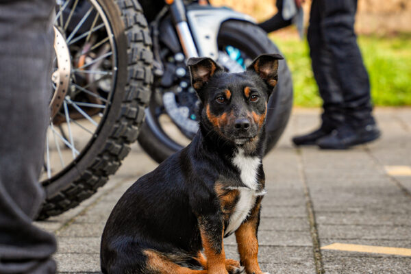 CFMOTO-RideOut-Heerlen-2026-145